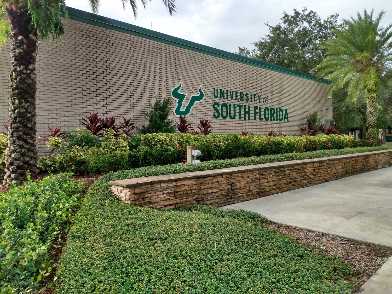 University of South Florida-img